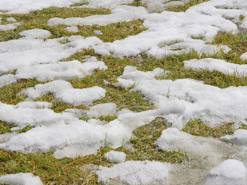 Snow-Melting-on-grass