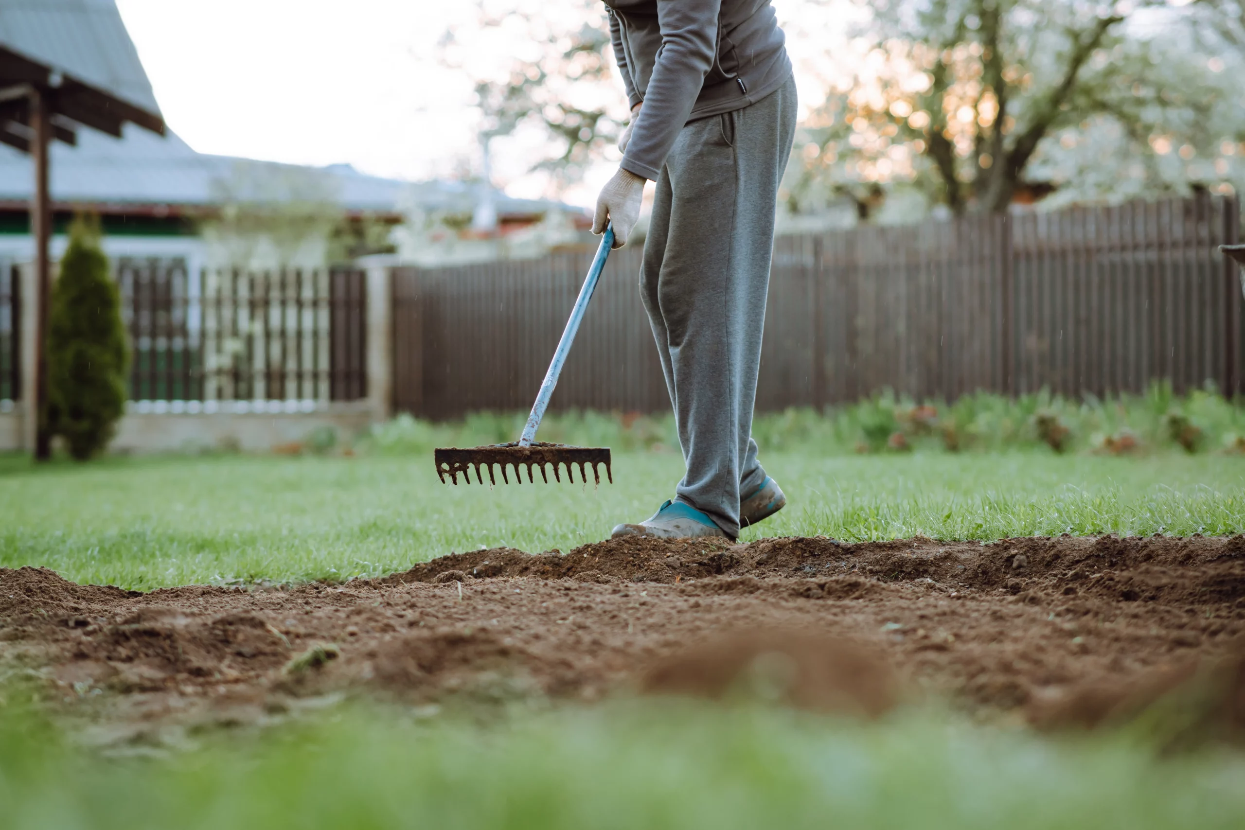 adult-man-in-gray-tracksuit-standing-on-green-lawn-2023-11-27-04-55-15-utc