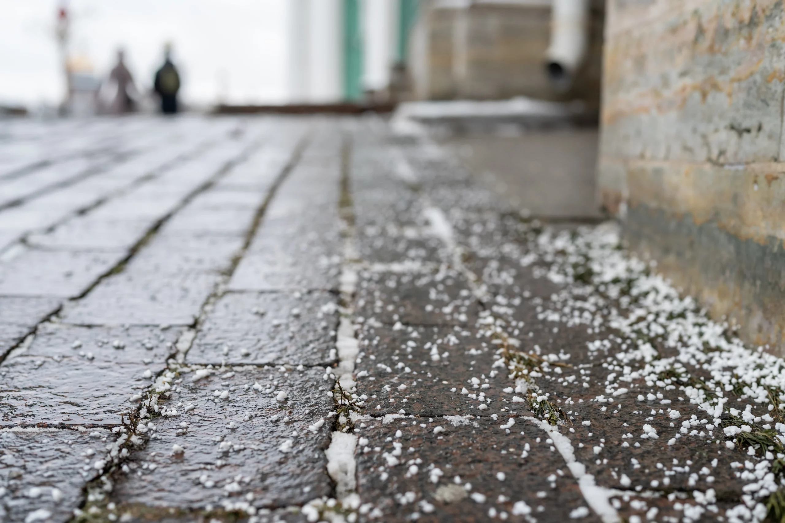 closeup-of-technical-salt-grains-on-icy-sidewalk-s-2023-11-27-05-27-10-utc