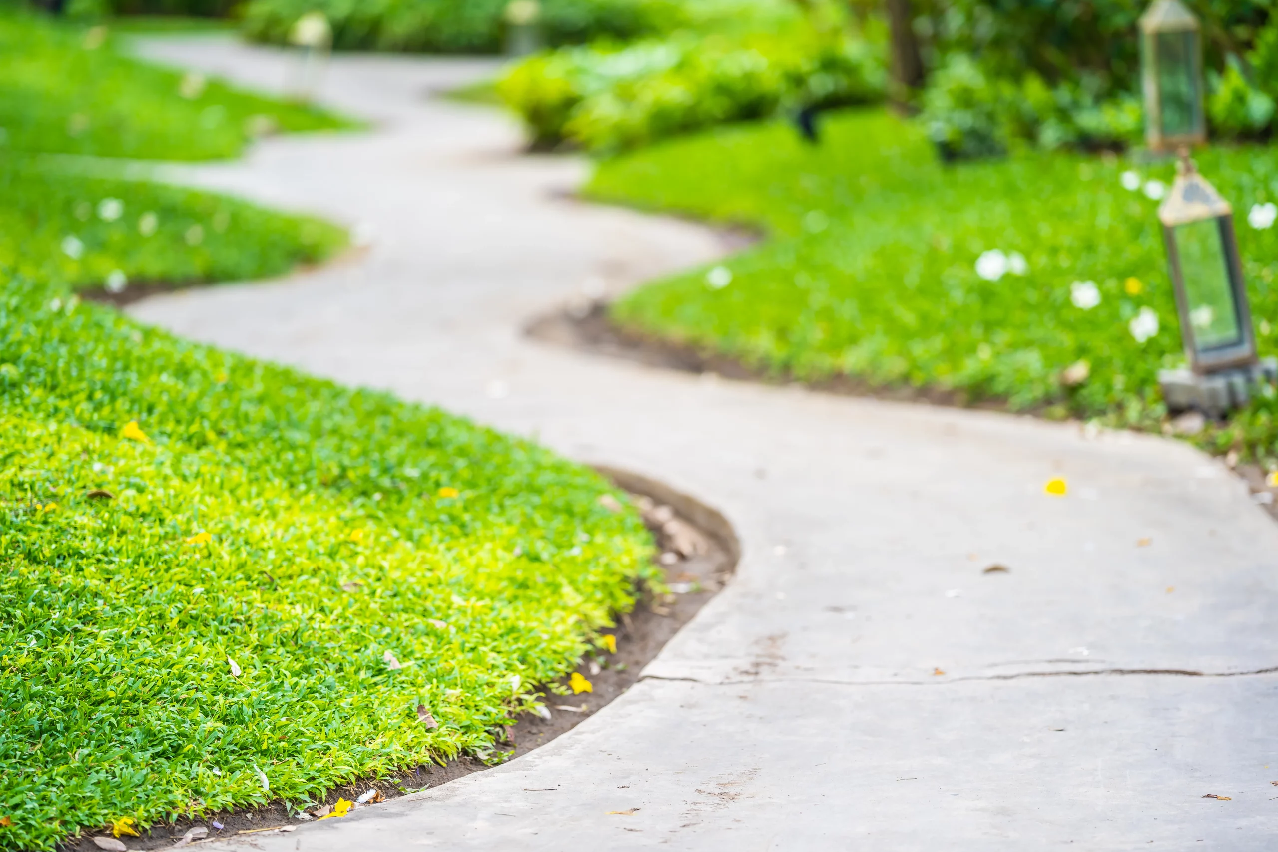 Lawn Edging