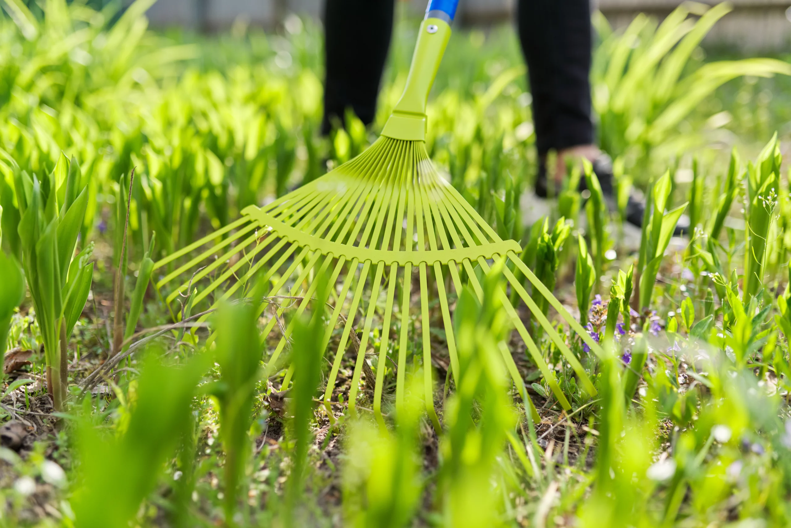 Spring Cleaning