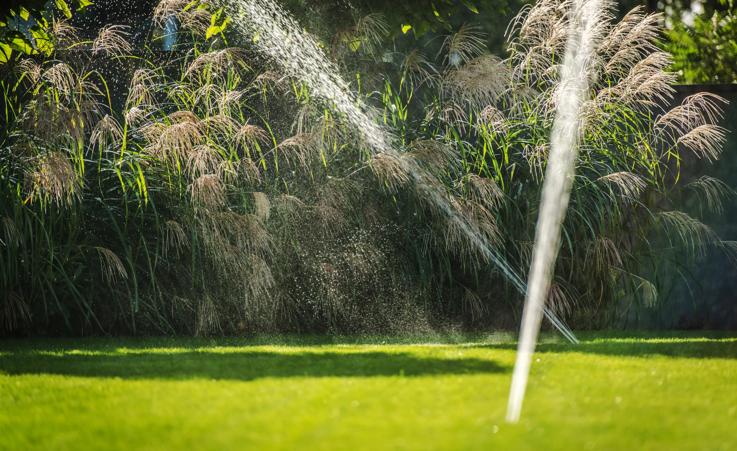 residential-backyard-garden-sprinklers-irrigation-2023-11-27-05-27-00-utc